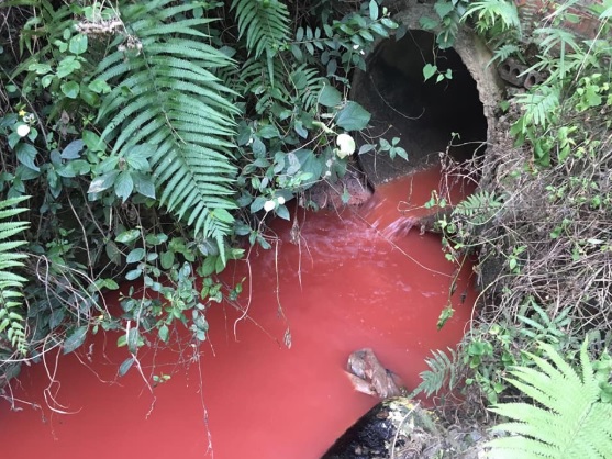 Thông tin từ đường dây nóng